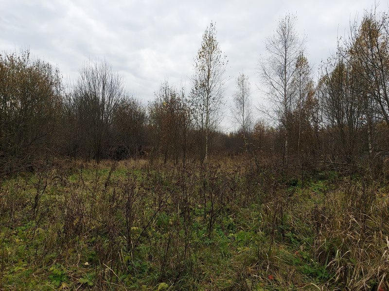 Боровск, мкр. Южный, 14 соток