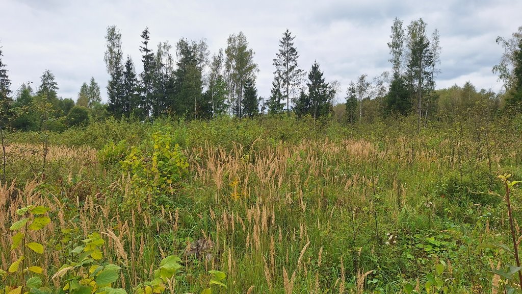 Лучны 570 соток