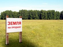Барденево, 15 соток