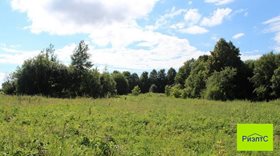 Каньшино, 15 соток